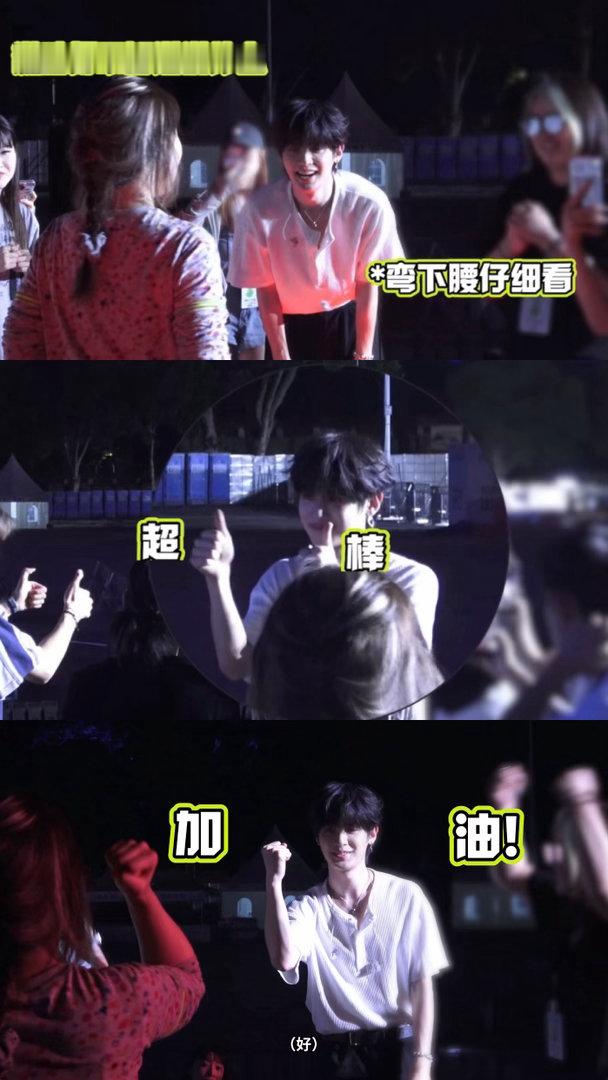 至真至纯至善至美的小狗宝宝 