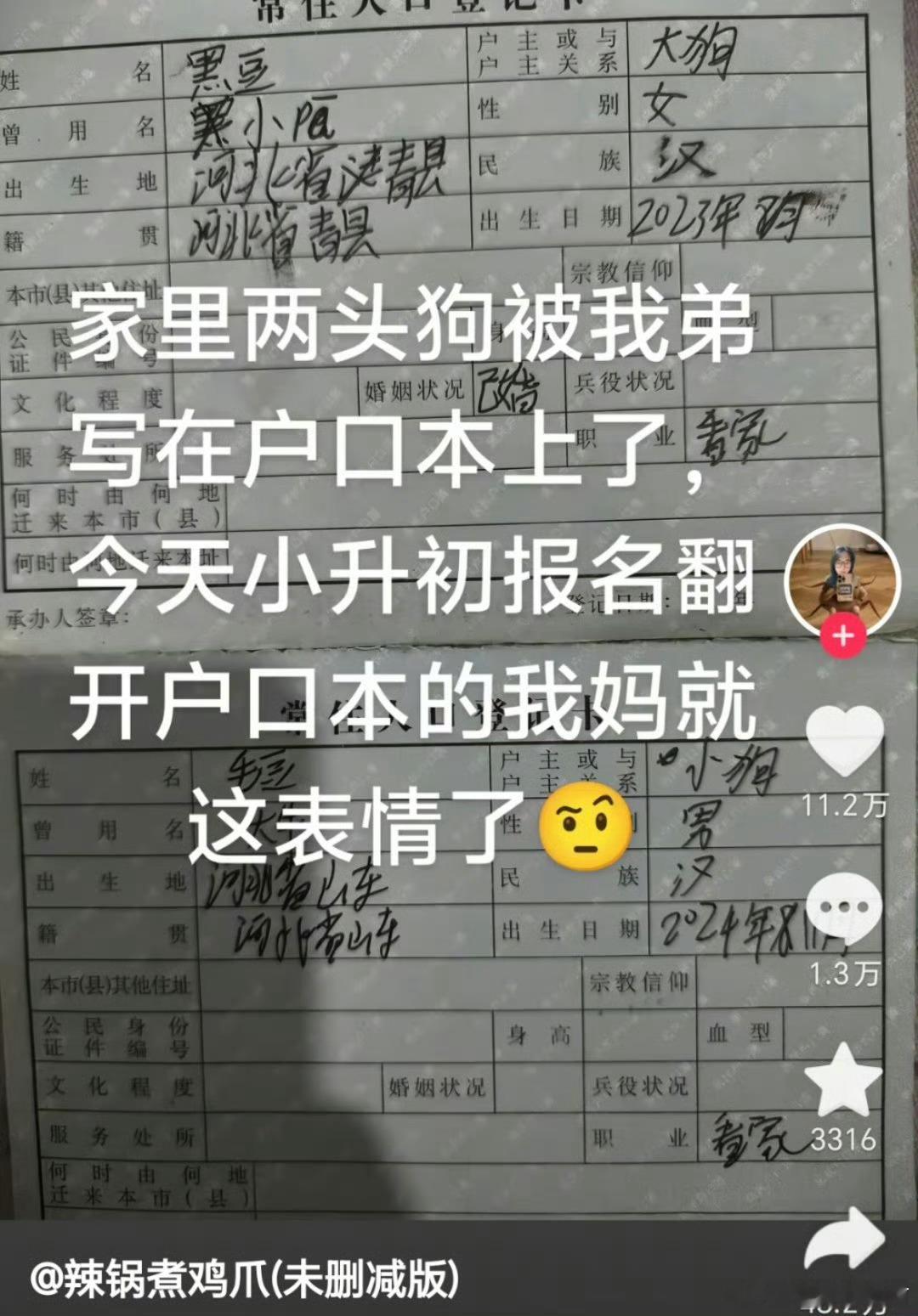 狗子这辈子没白活，上户口了 ​​​