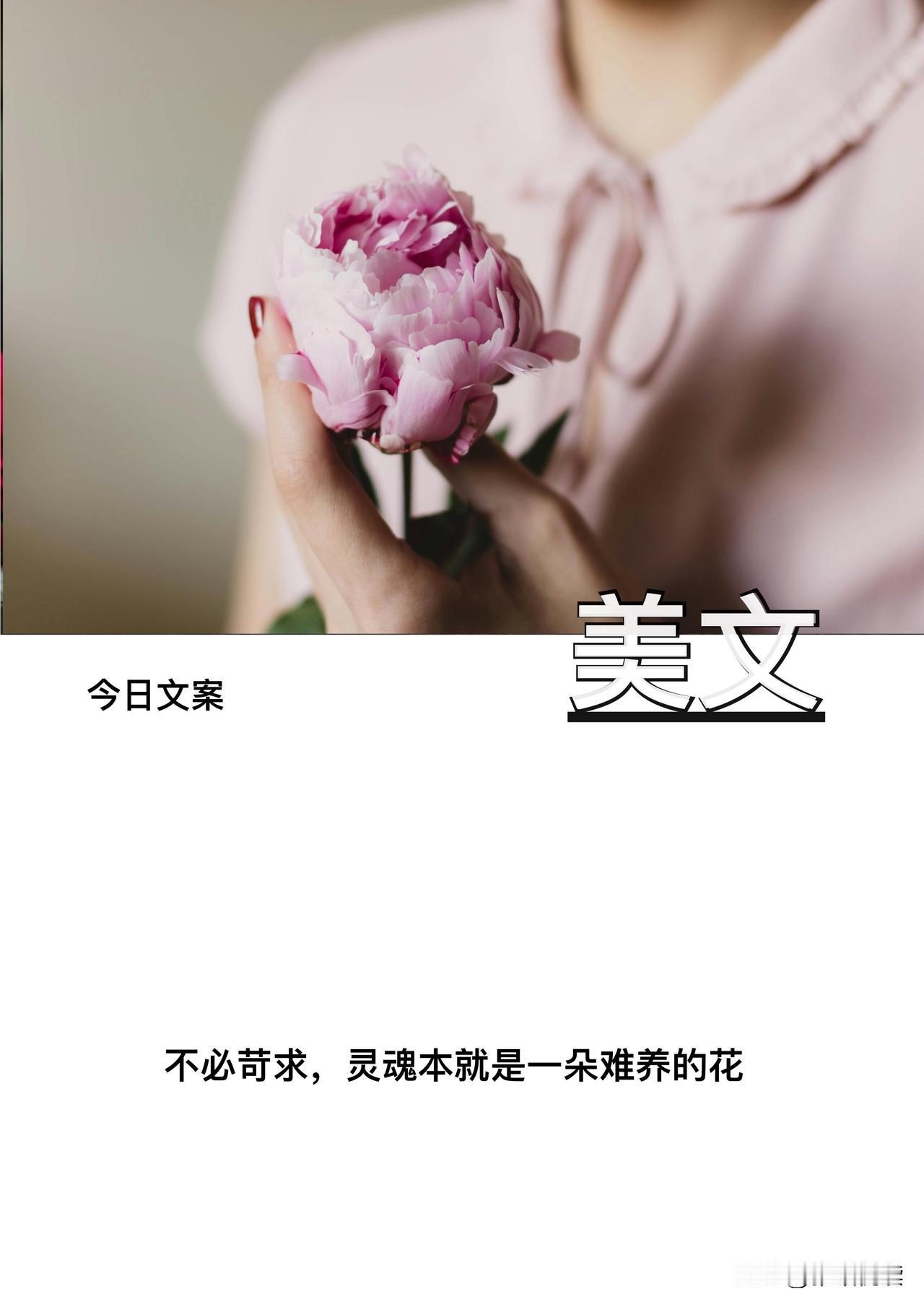 不必苛求，灵魂本就是一朵难养的花。