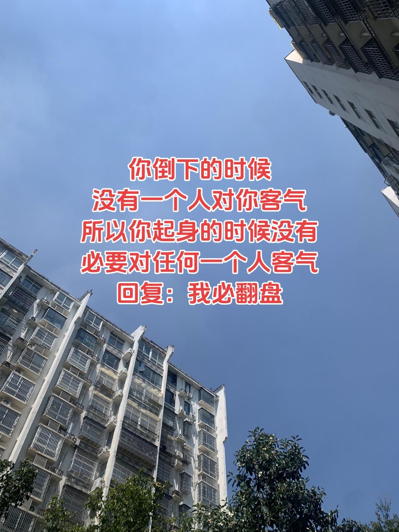 随拍记录真实生活 天很蓝楼很高 伙伴计划 抑郁