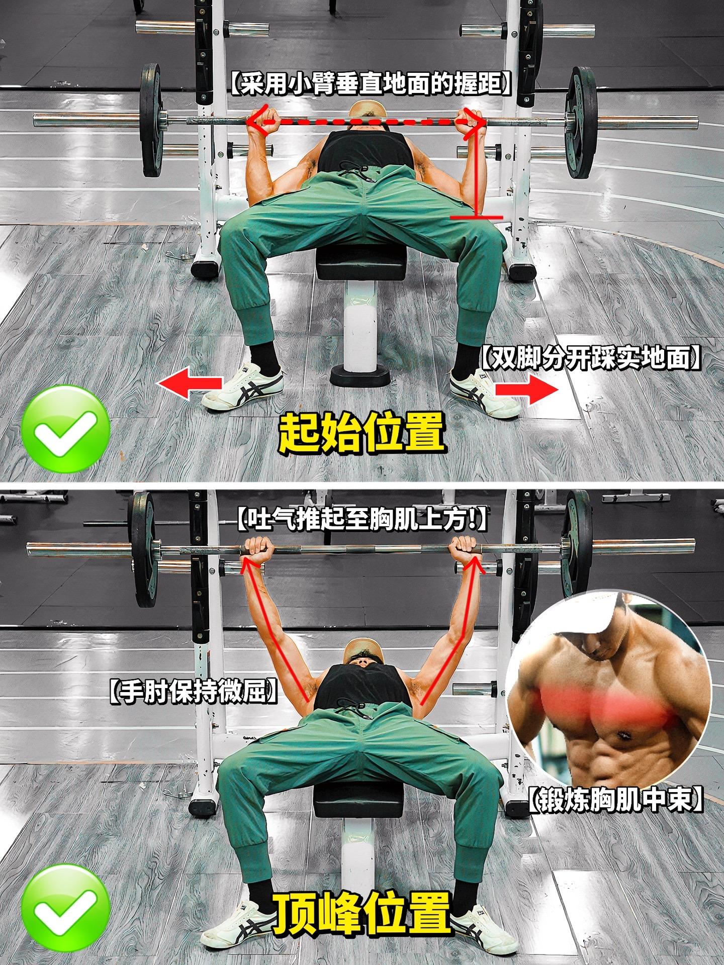 平板杠铃卧推全方位解析！平板杠铃卧推常见错误及纠正，看看你都做对了嘛？