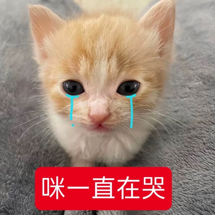 迪丽热巴  我的假期呢...怎么就最后一天了时间都去哪了路虎卫士全驭代言人迪丽热