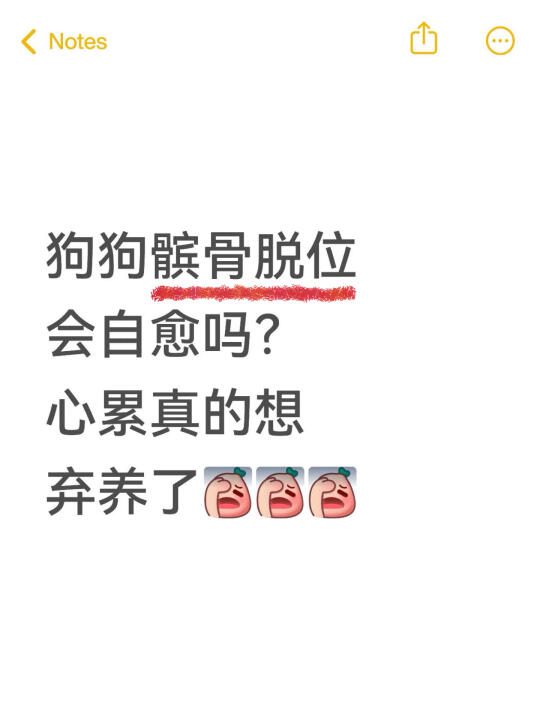 小狗髌骨脱位能自愈吗?心累想弃养了