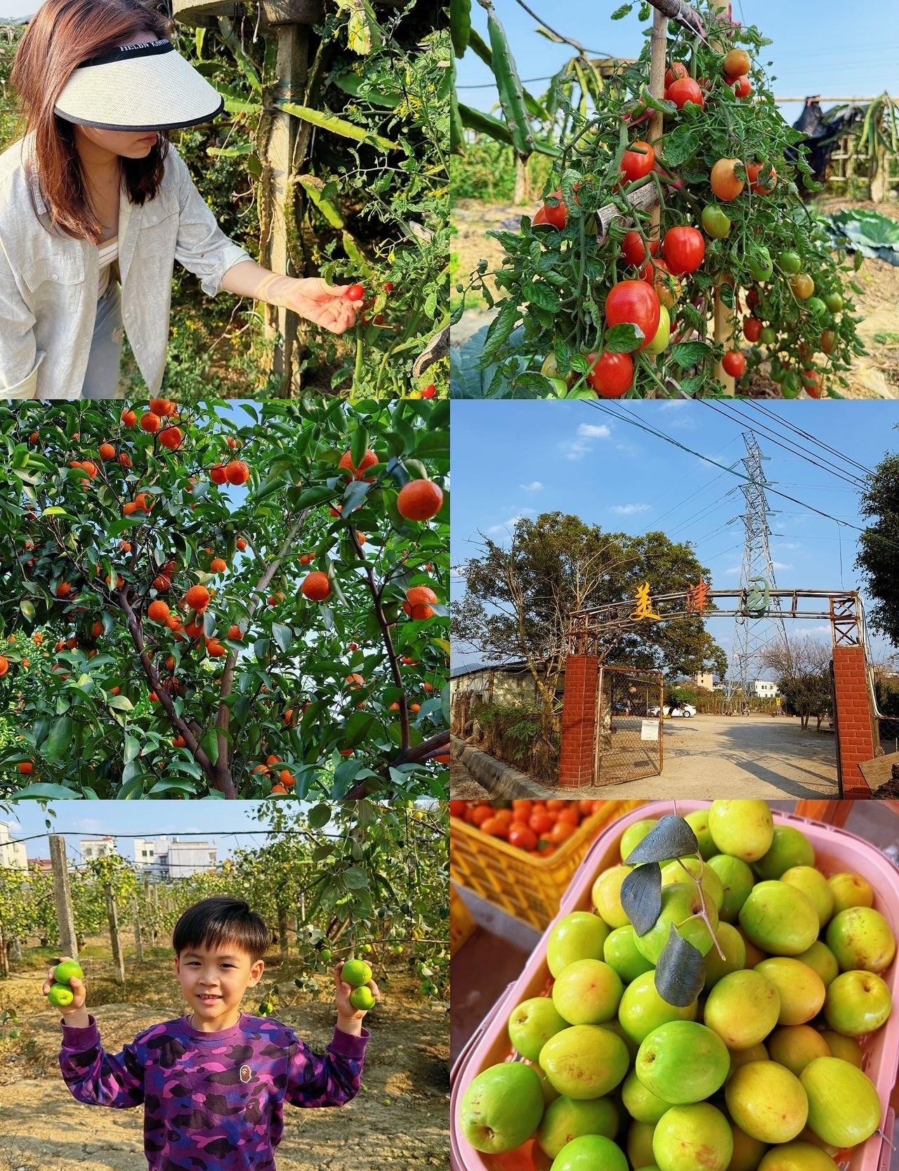 从化半天游！在美津园实现水果+撸猪自由🐷
📍广州 美津园开心农场
📍从化美
