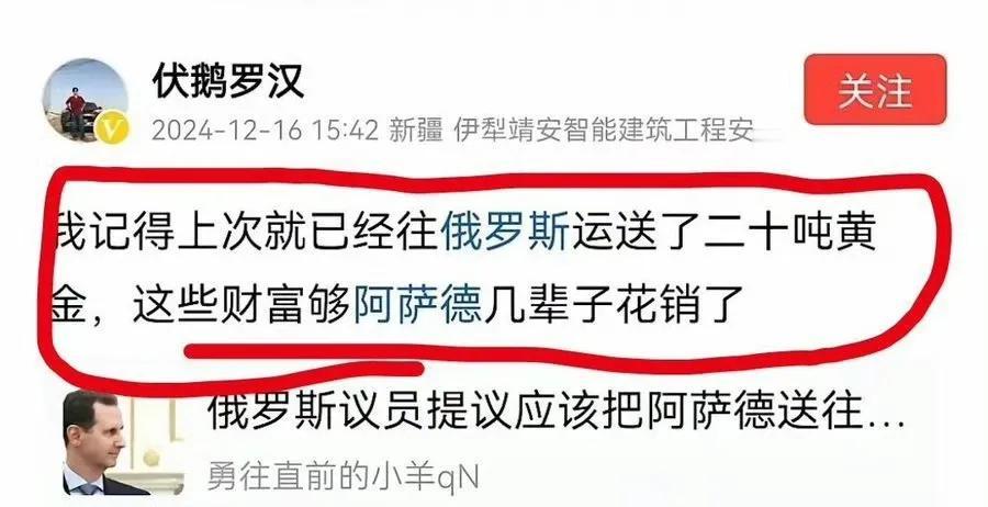 大型双标翻车现场，自己说阿萨德运往俄罗斯有二十多吨黄金，这个财富够阿萨德几辈子花
