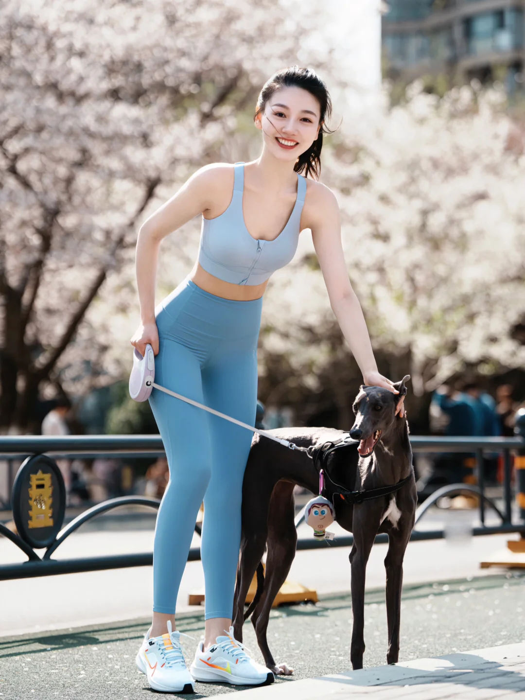 牵一只灵缇在樱花树下跑步🏃🏻‍♀️什么体验