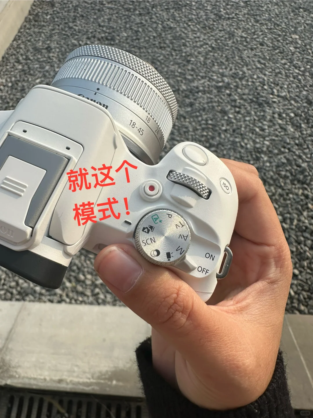 租了个📷R50拍live图！！