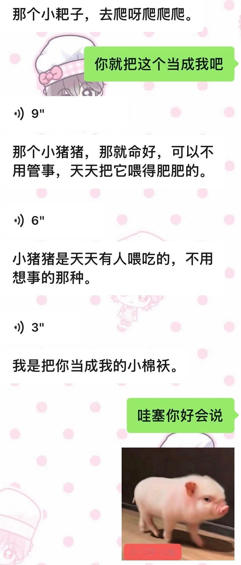 猫猫好可爱好会说话😳🥺总是会把表情包当成我 ​​​