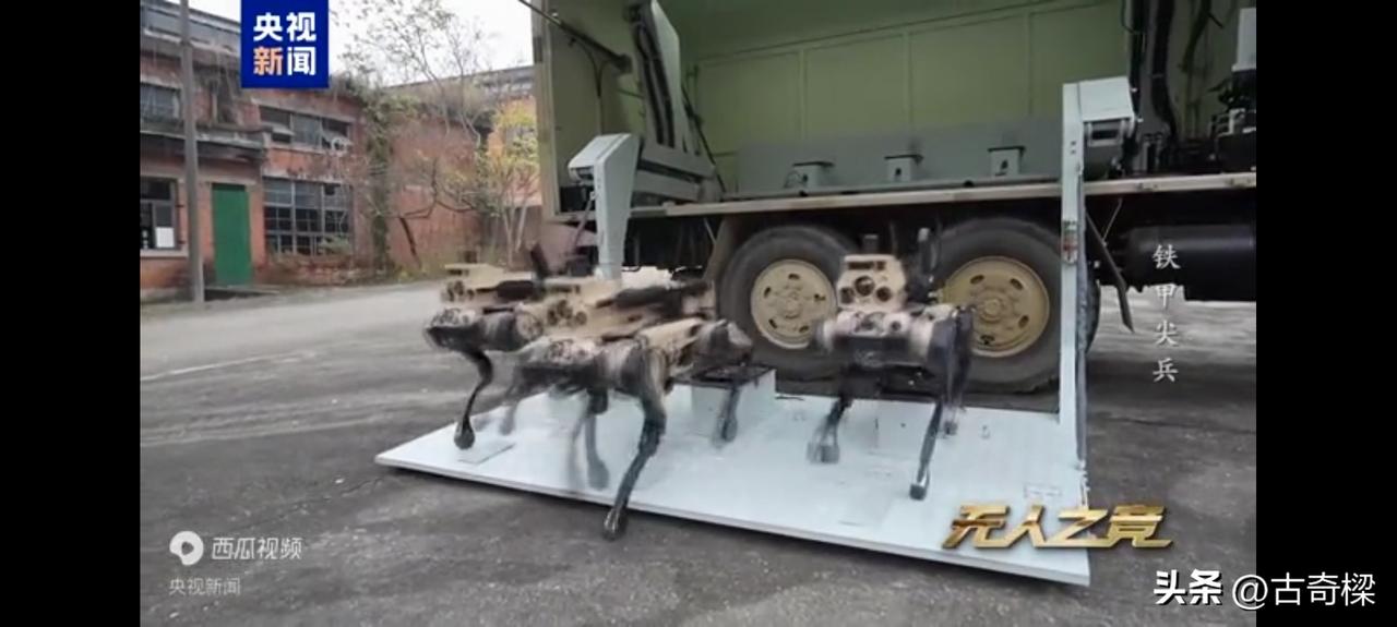 厉害，硬核科技再出圈！

不用惊讶，应该是惊喜！中国机器狼群巷战画面首次公开，未
