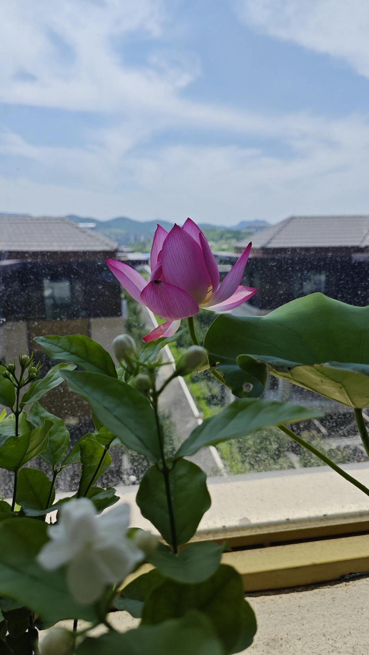倪海厦：真正让你气血恢复的方法就两种

我是“高等教育文摘”，深耕教育学、心理学