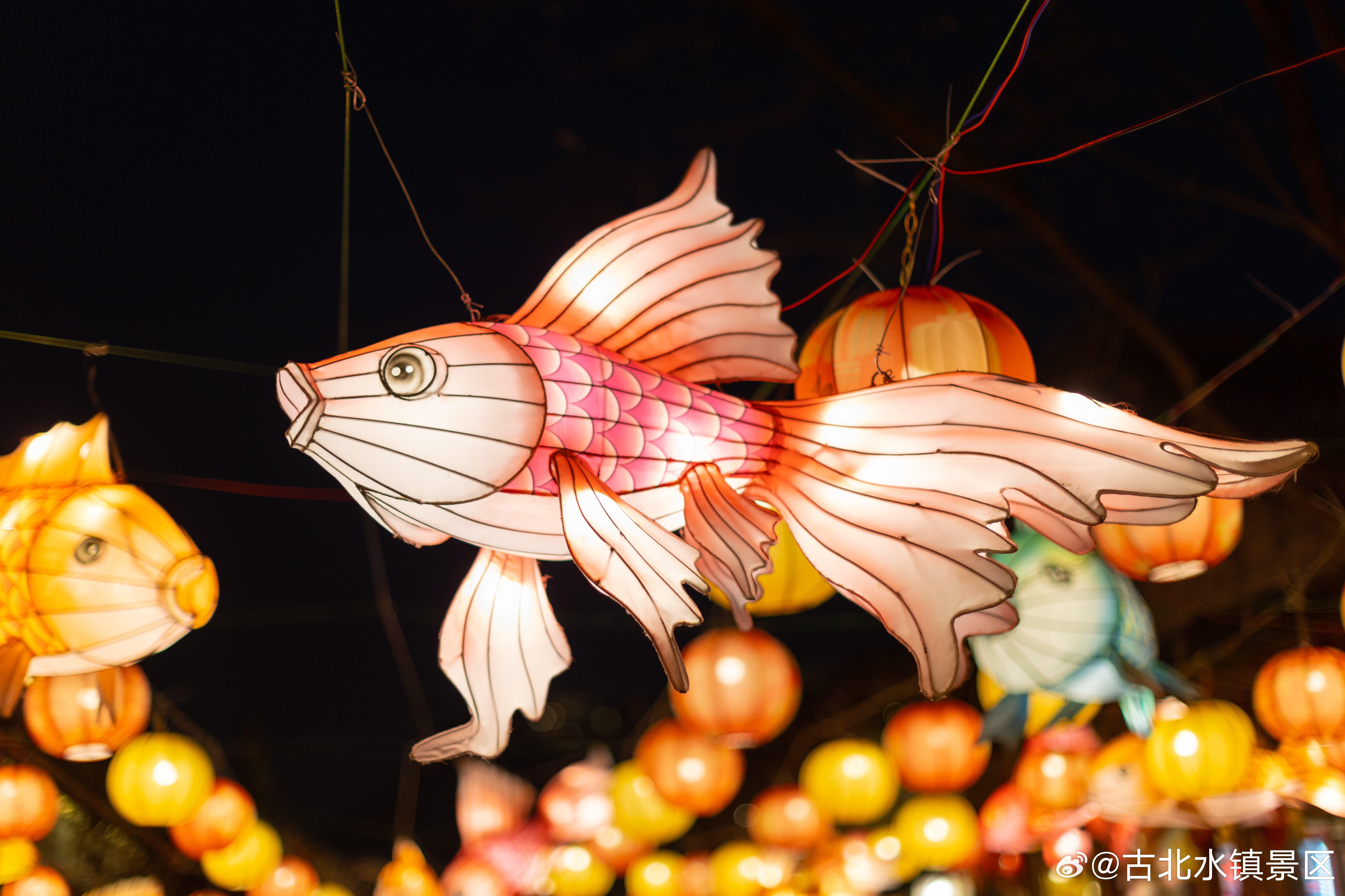 灯火一盏盏点亮，故事才刚刚开始晚安，宝子们~