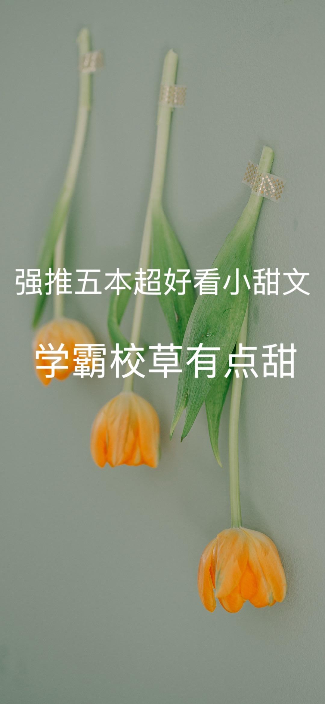 校园文小说推荐 娱乐圈文推荐 甜宠文推荐 甜文宠文推荐 小说推荐每日好文