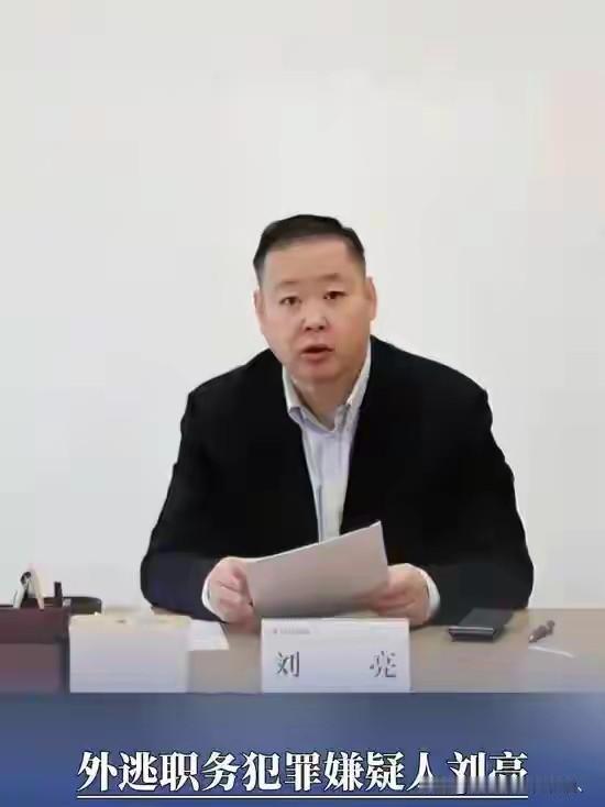 刘亮4月出逃，5月被抓到，日前将被包机遣返。这速度很快，点赞下办案同志。等待刘亮