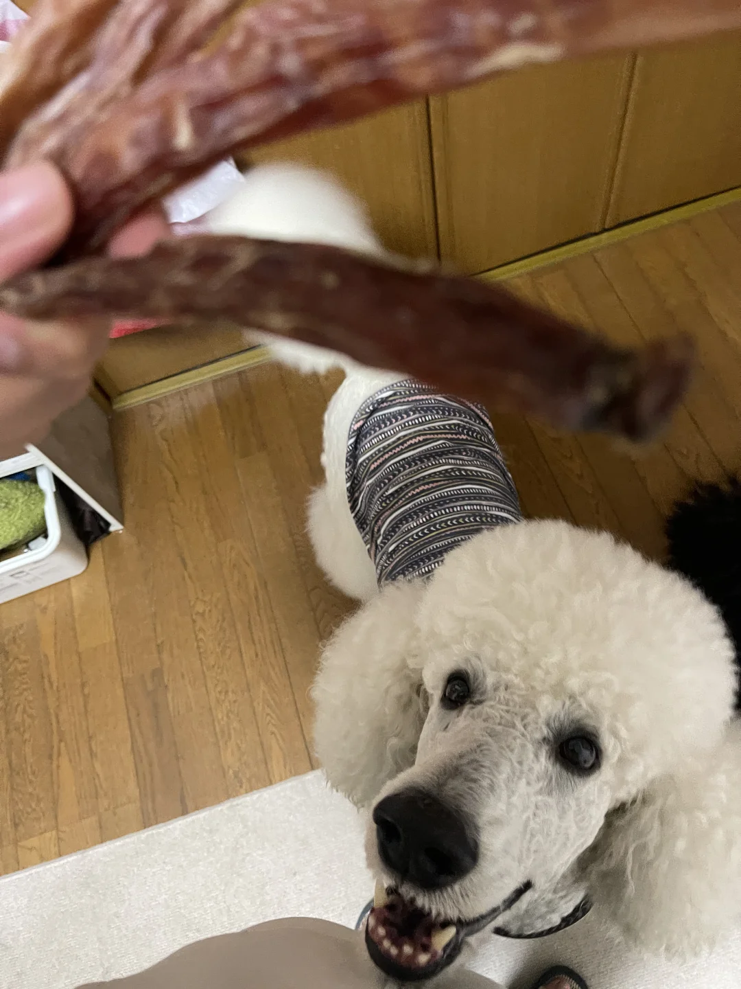 看到姐姐眼里就有光啊