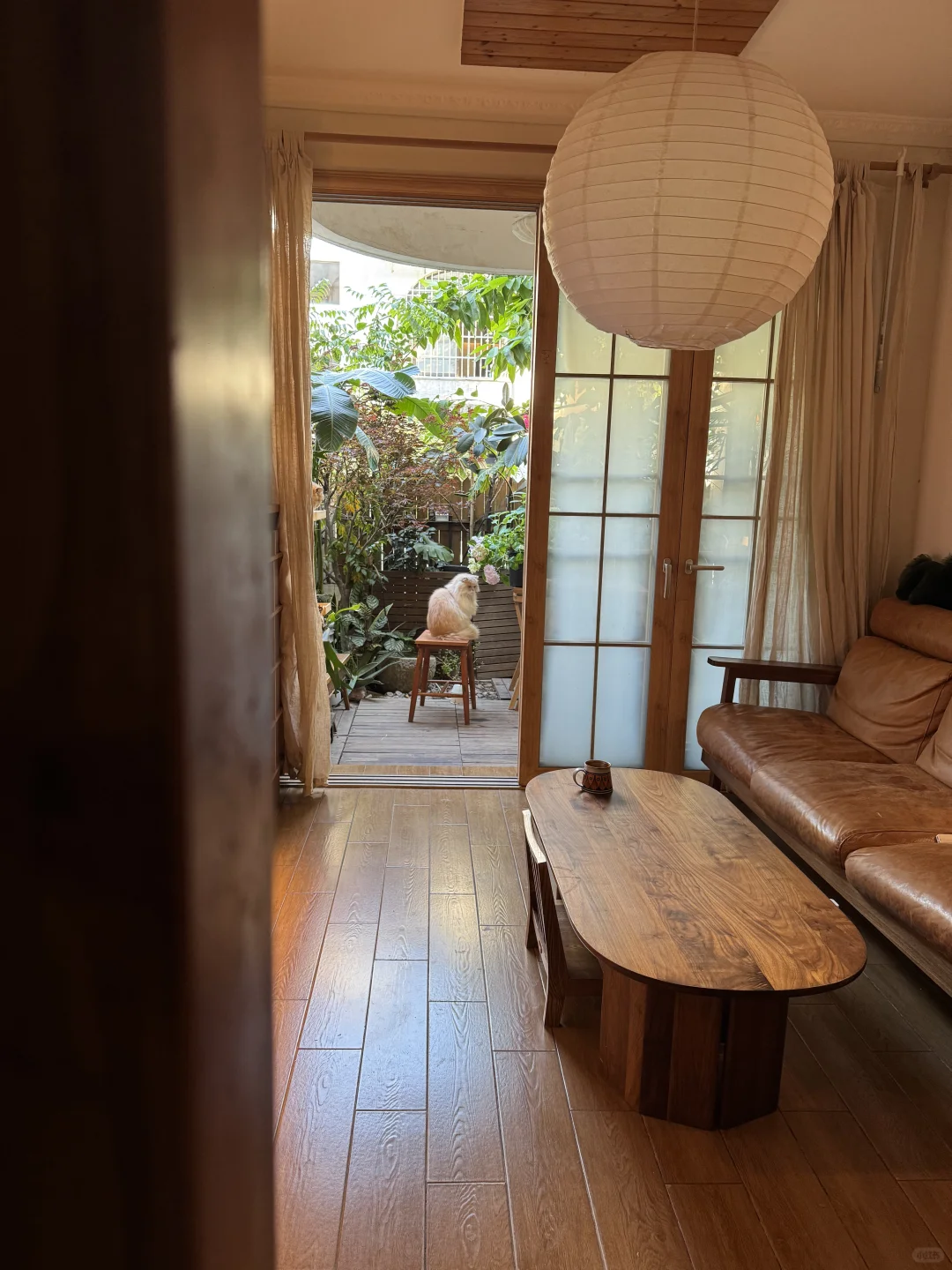 住在这样的家，咸鱼白菜也好好味