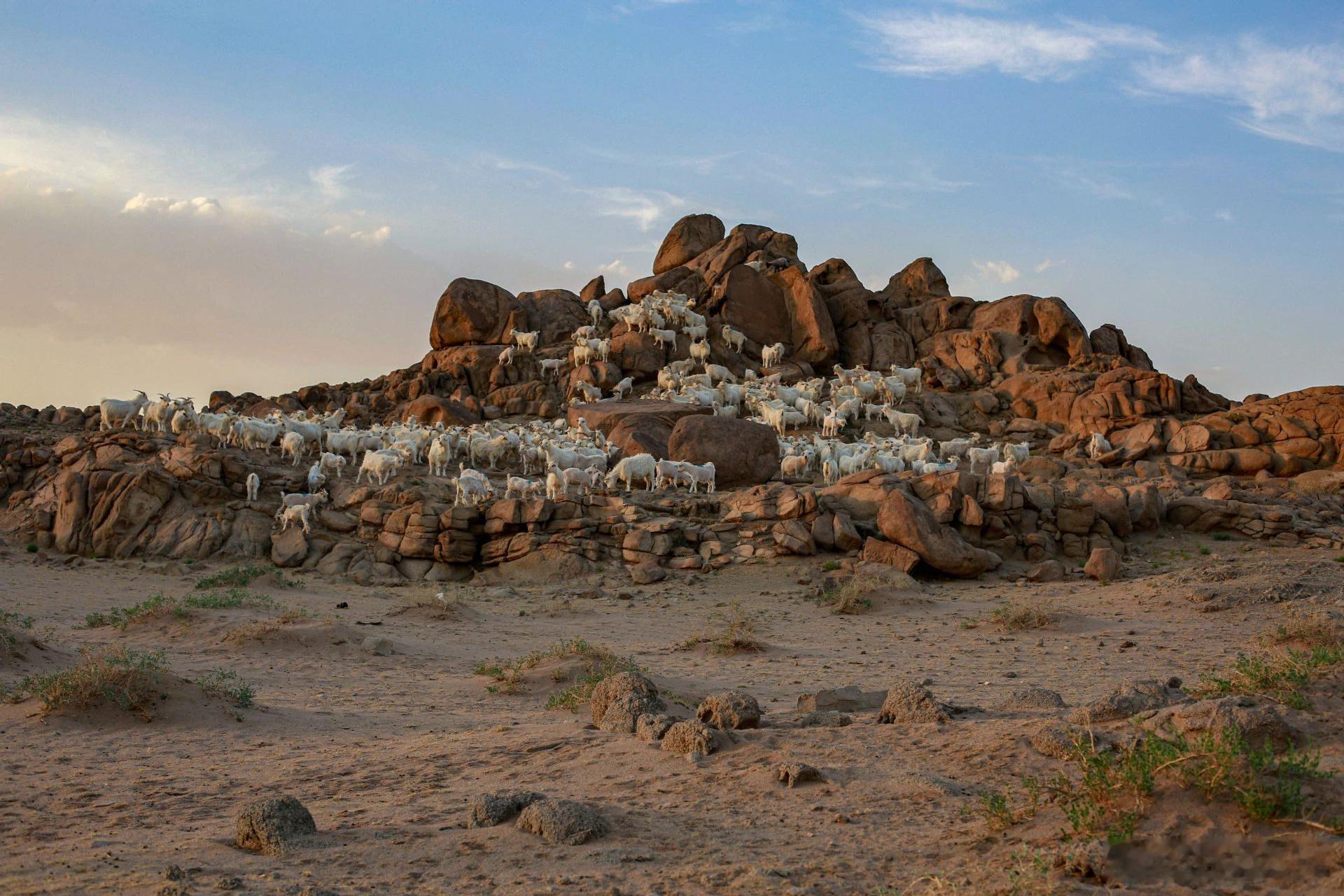 来到美丽的#呼伦贝尔大草原# ，你会醉在其中。这里水草丰美，3000多条纵横交错