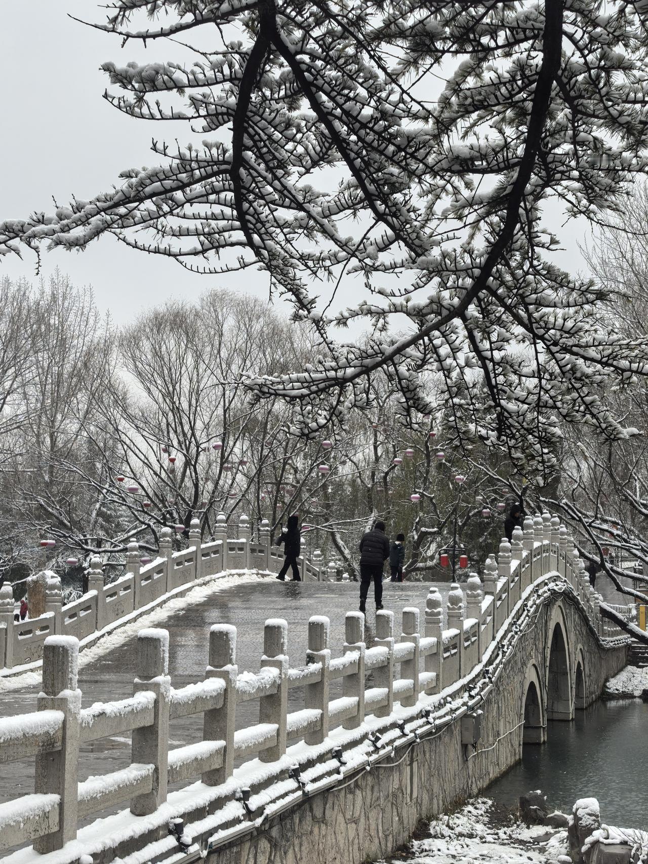 七律·冬至
冬至迎寒晓色晴，
开元数九一阳生。
轮回复起从今始，
物化重兴自此萌