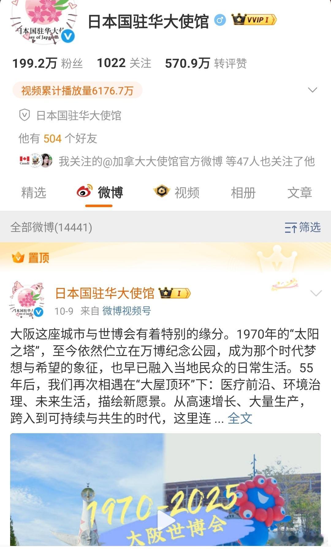 相对于我在日本的同事， 微博这两天却精选评论，安静如鸡。不应该出来表态么？要不开