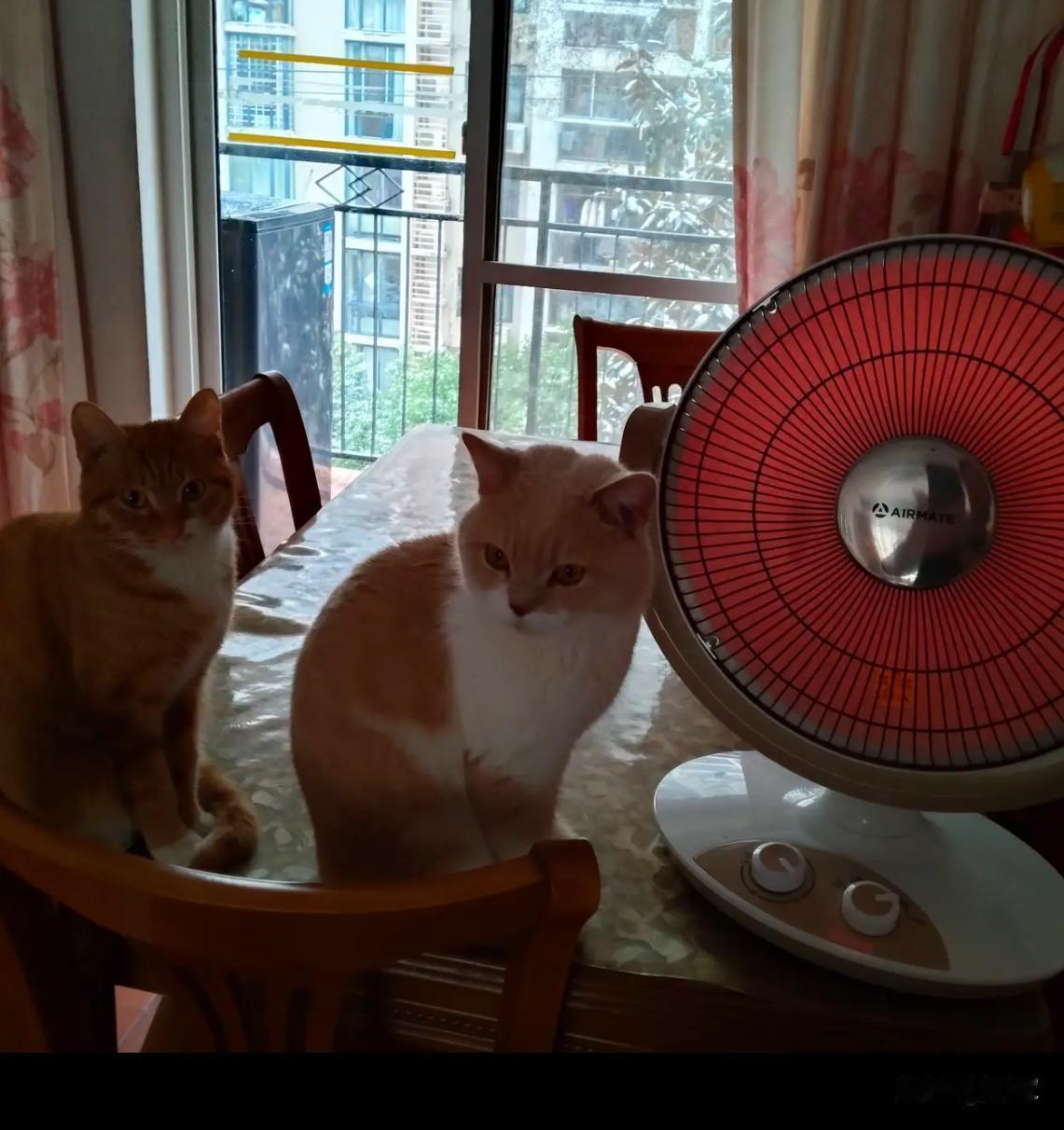 都说南方好，你说南方有啥好的，冬天比北方还冷呢！

一个朋友在武汉，今年他们那儿