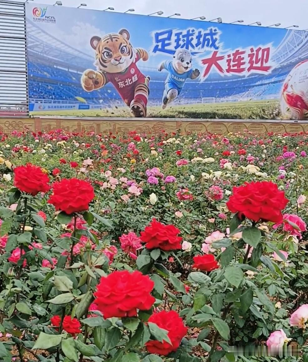 十里花田铺锦纱，
柔枝嫩蕊沐朝霞。
浅淡缀艳笼绮陌，
自成风月映万家。

一川烂