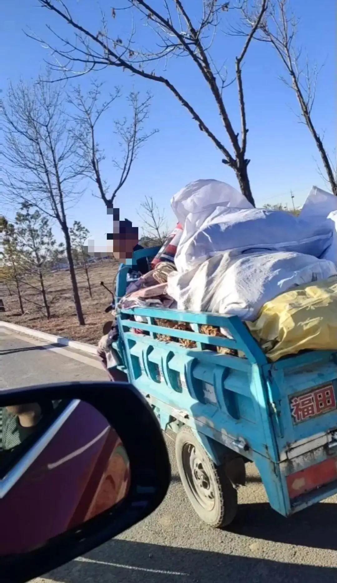 法不责众！内蒙古呼和浩特，男子承包了400 亩地，全部种植向日葵。辛辛苦苦一年，