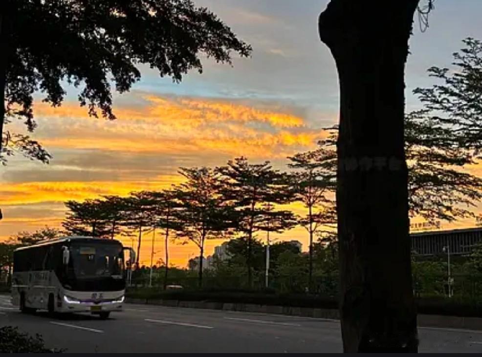 错过一班车：才懂每个人都有自己的“时间轨道”

昨天，早晨有点事耽误了十五分钟。
