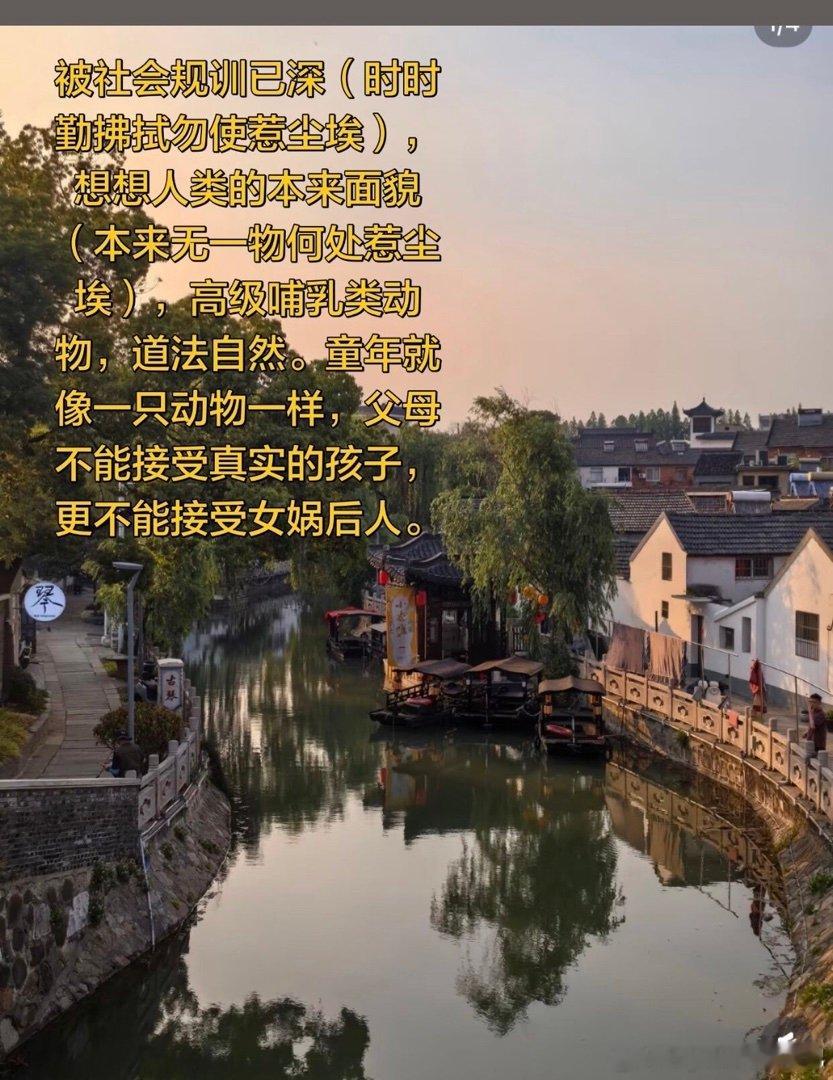 带着真心社会化