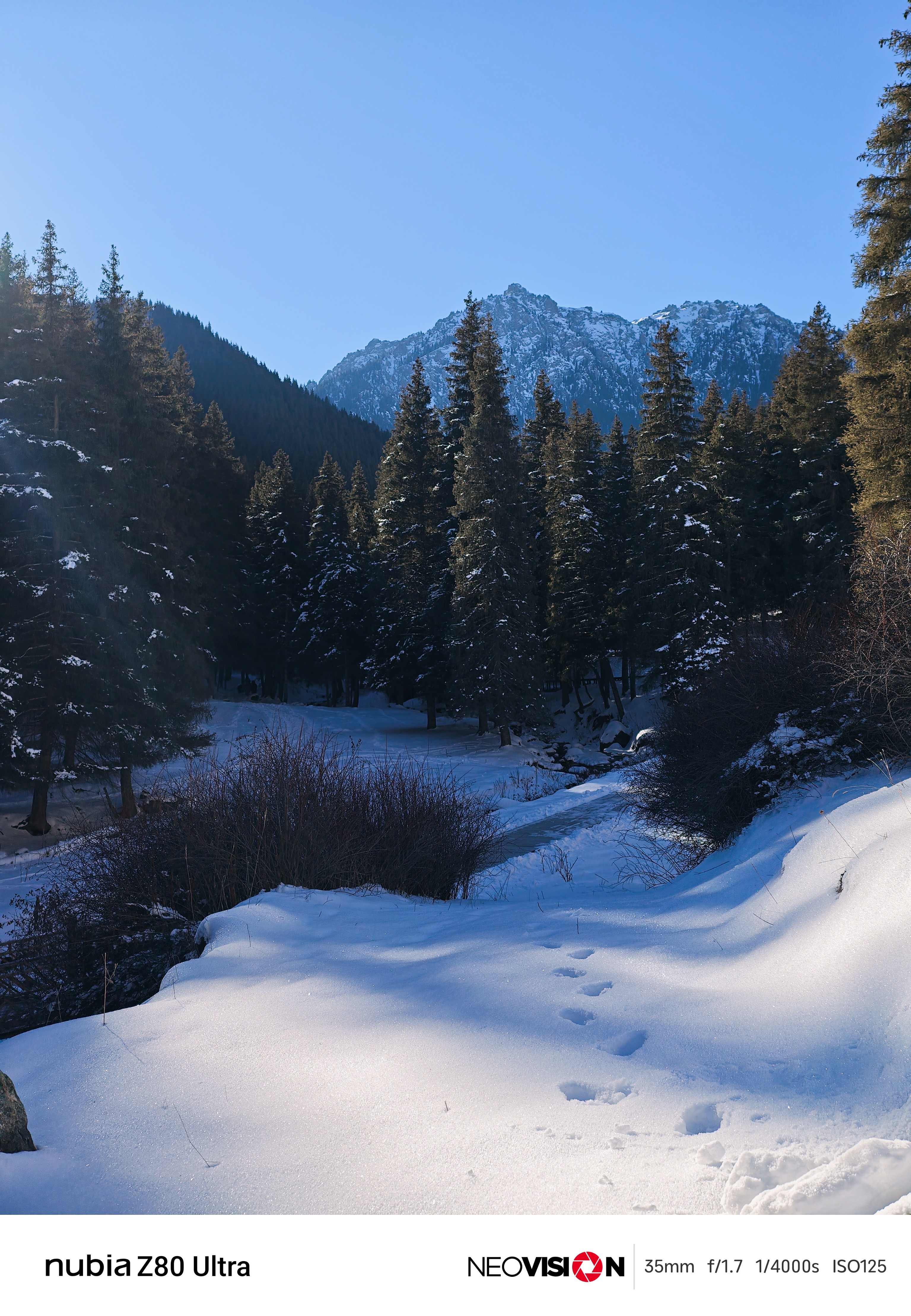 友商纷纷因为内存开始涨价了，努比亚Z80 Ultra还没涨，可以看看努比亚，好拍