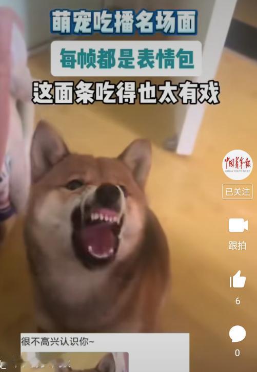 不知道为什么大媒体现在都这么调皮了？[呲牙]