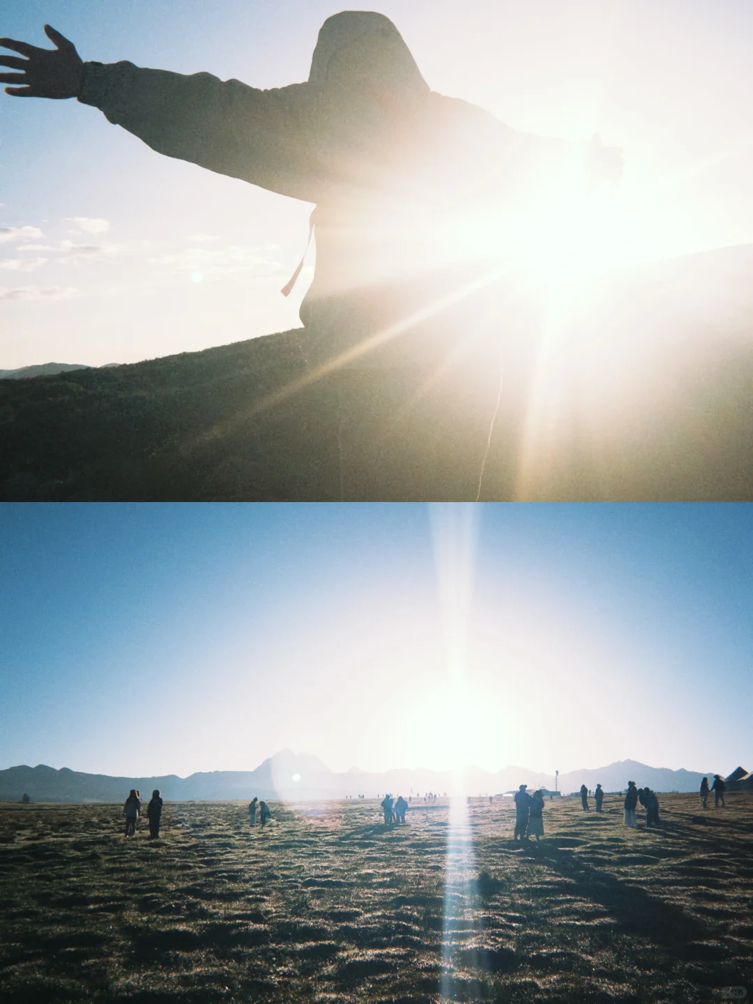 用完dazz就把胶片机扔了