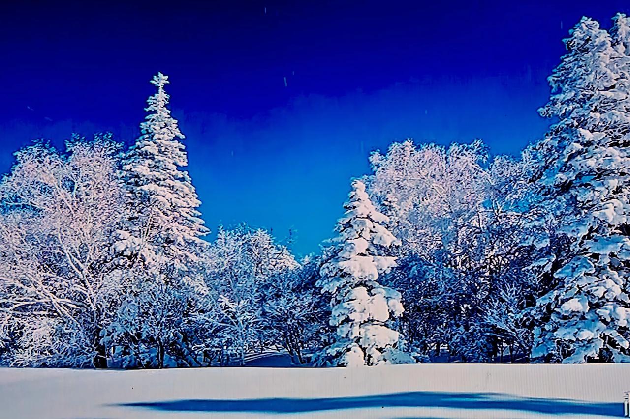 冰天雪地