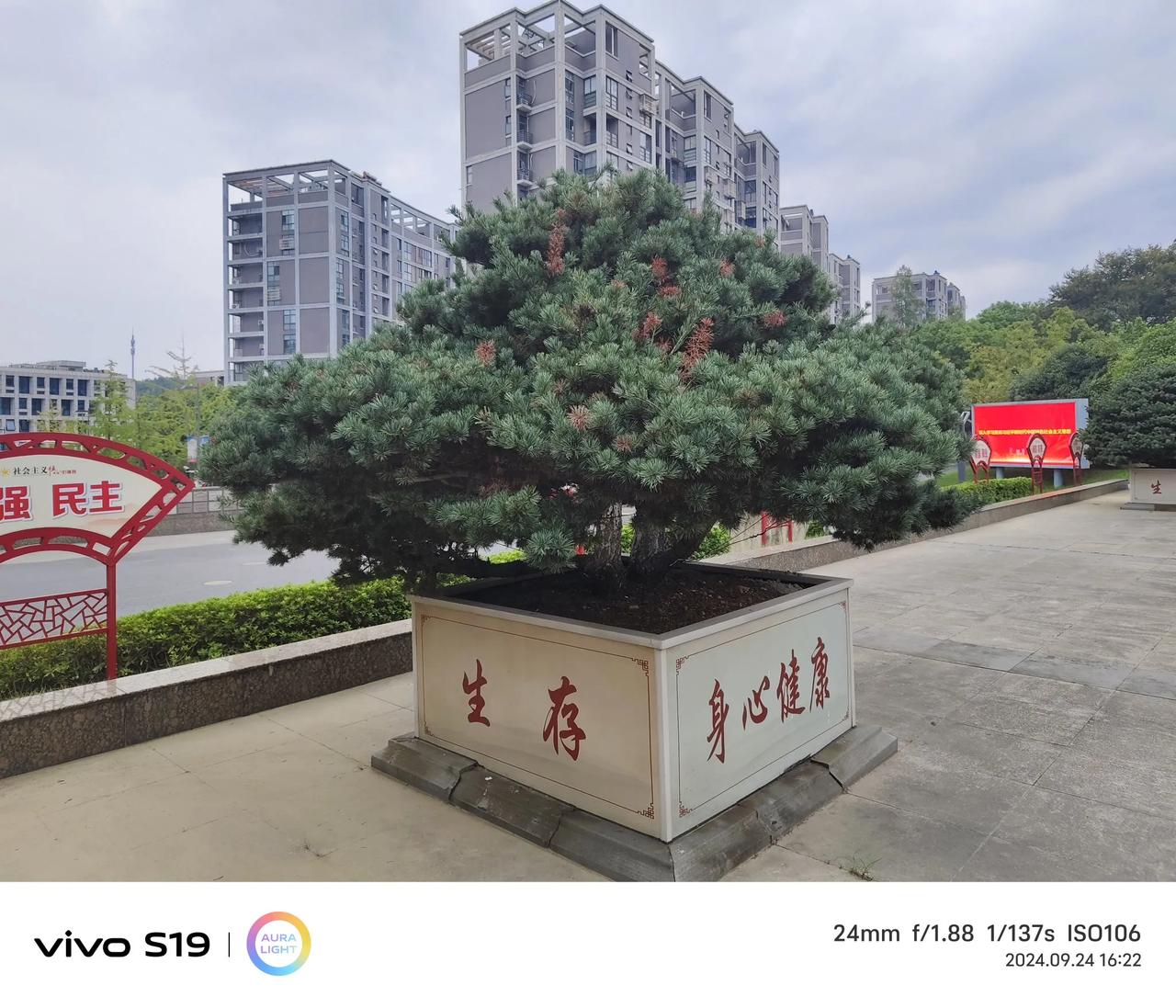#我的今日感悟#
尽管网上辟谣，被南京航空航天大学苏州附属中学勤杂工不是北大保送