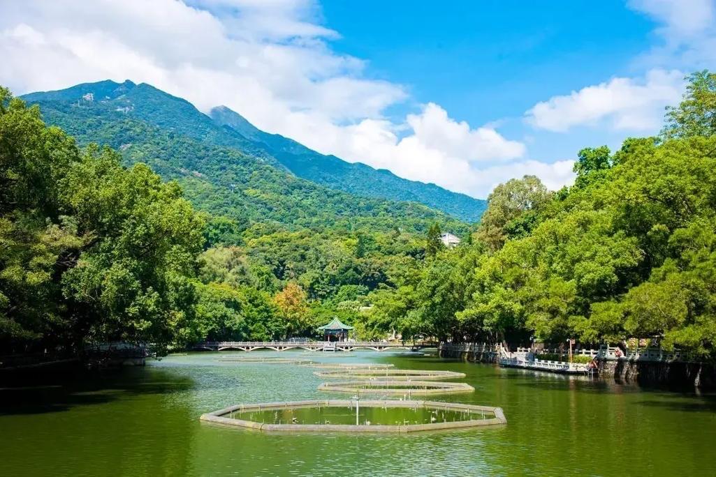 长相思 · 倚罗浮

倚罗浮，爱罗浮。
爱与兰溪不断流，
兰香向九洲。

不强求