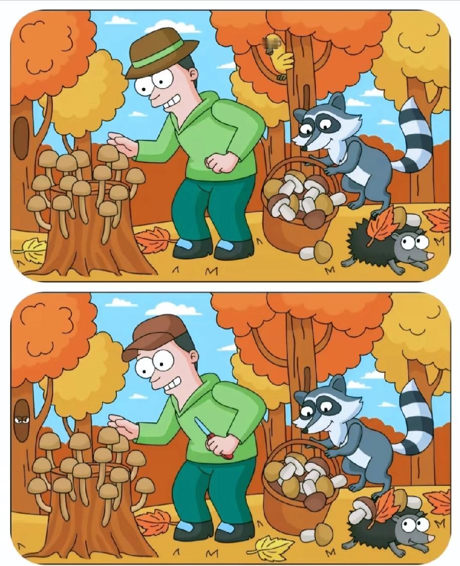  眼力大挑战！采蘑菇的场景藏着10处不同，你能全部找出来吗？