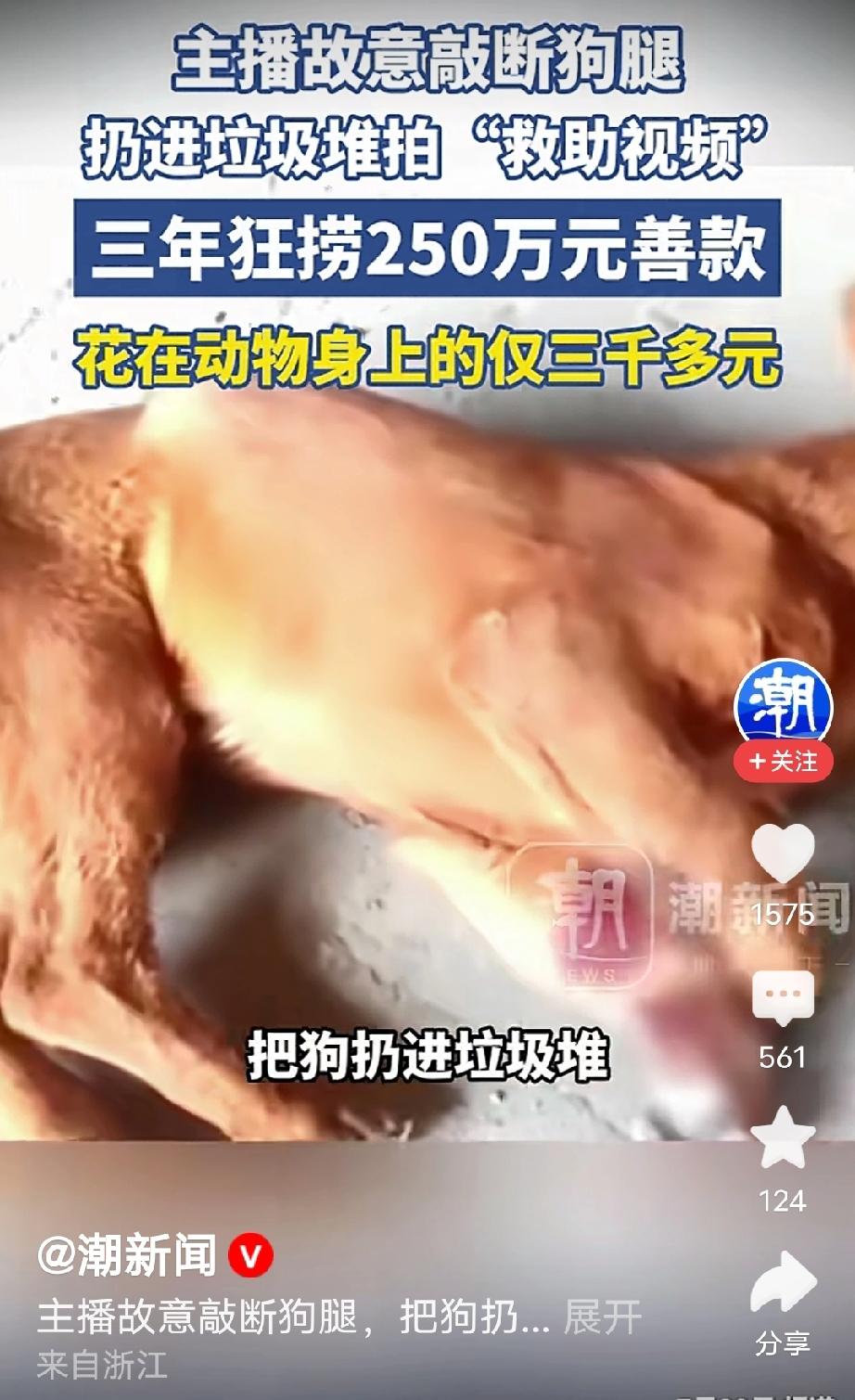 河南周口，一女子刷直播，直播间里所谓的流浪动物救助站，不少小狗瘦得皮包骨头，看着