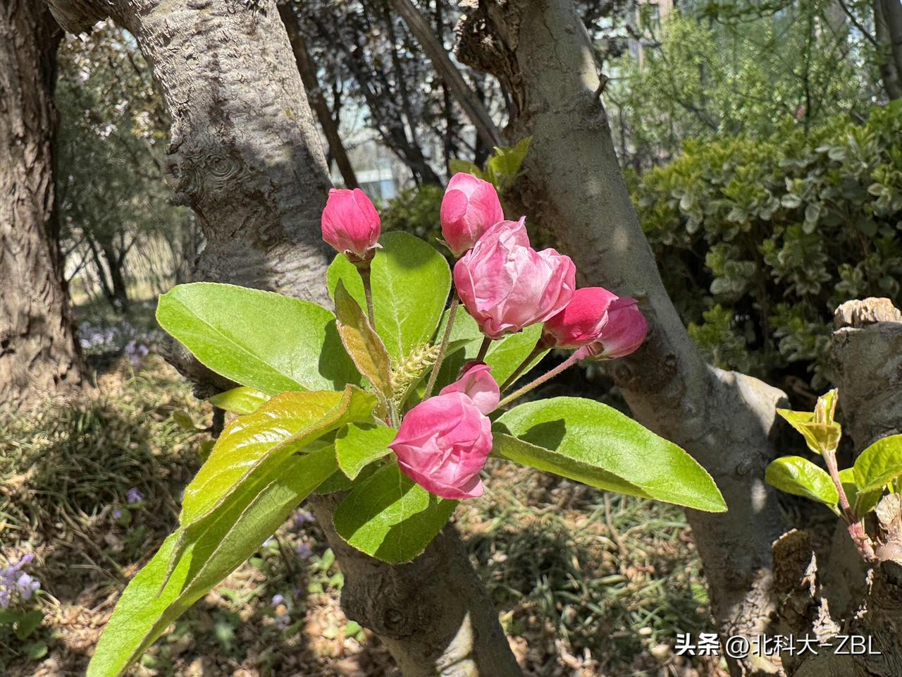 北交所打新前瞻：恒道科技（更新）

北交所网站3月30日发布消息，恒道科技当天已