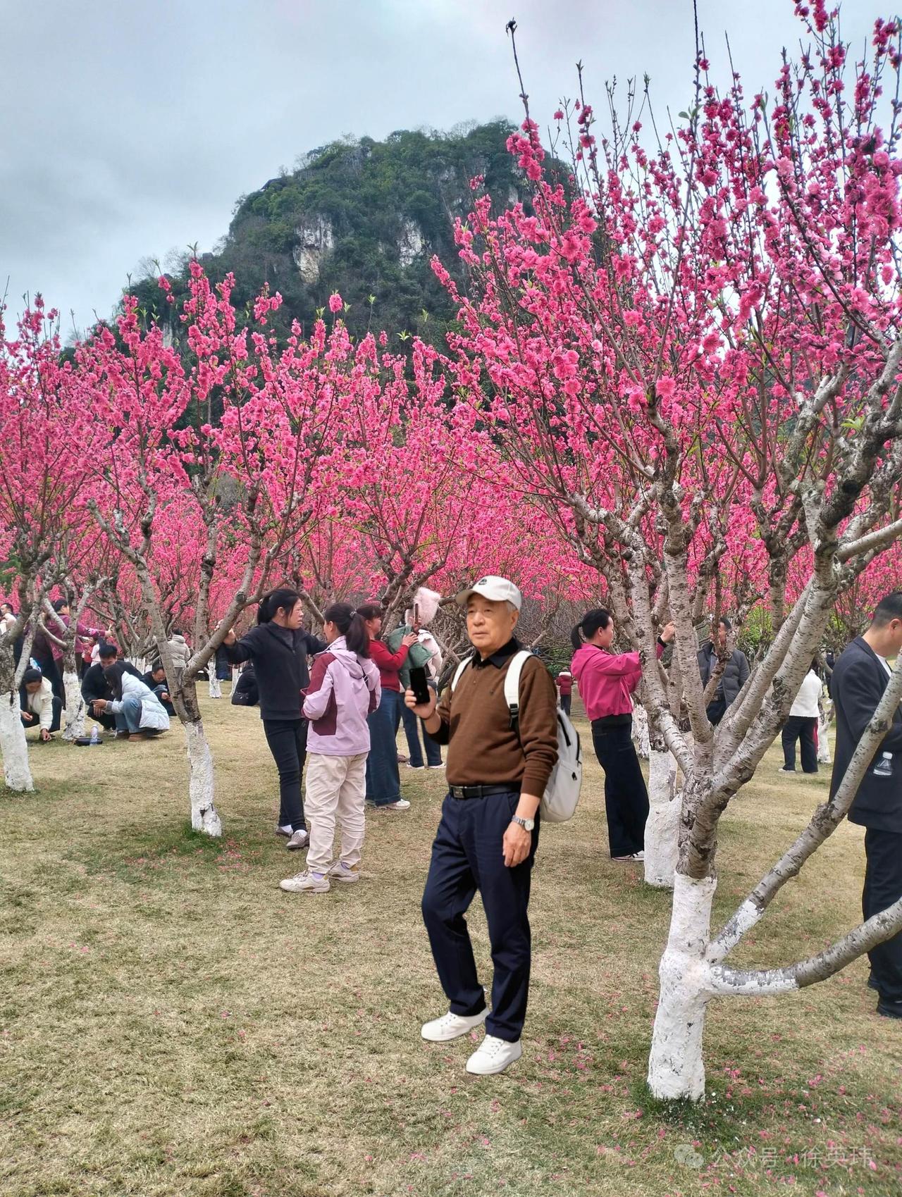 风景如画的地方，美丽的春天。一首歌，是一个故事，一