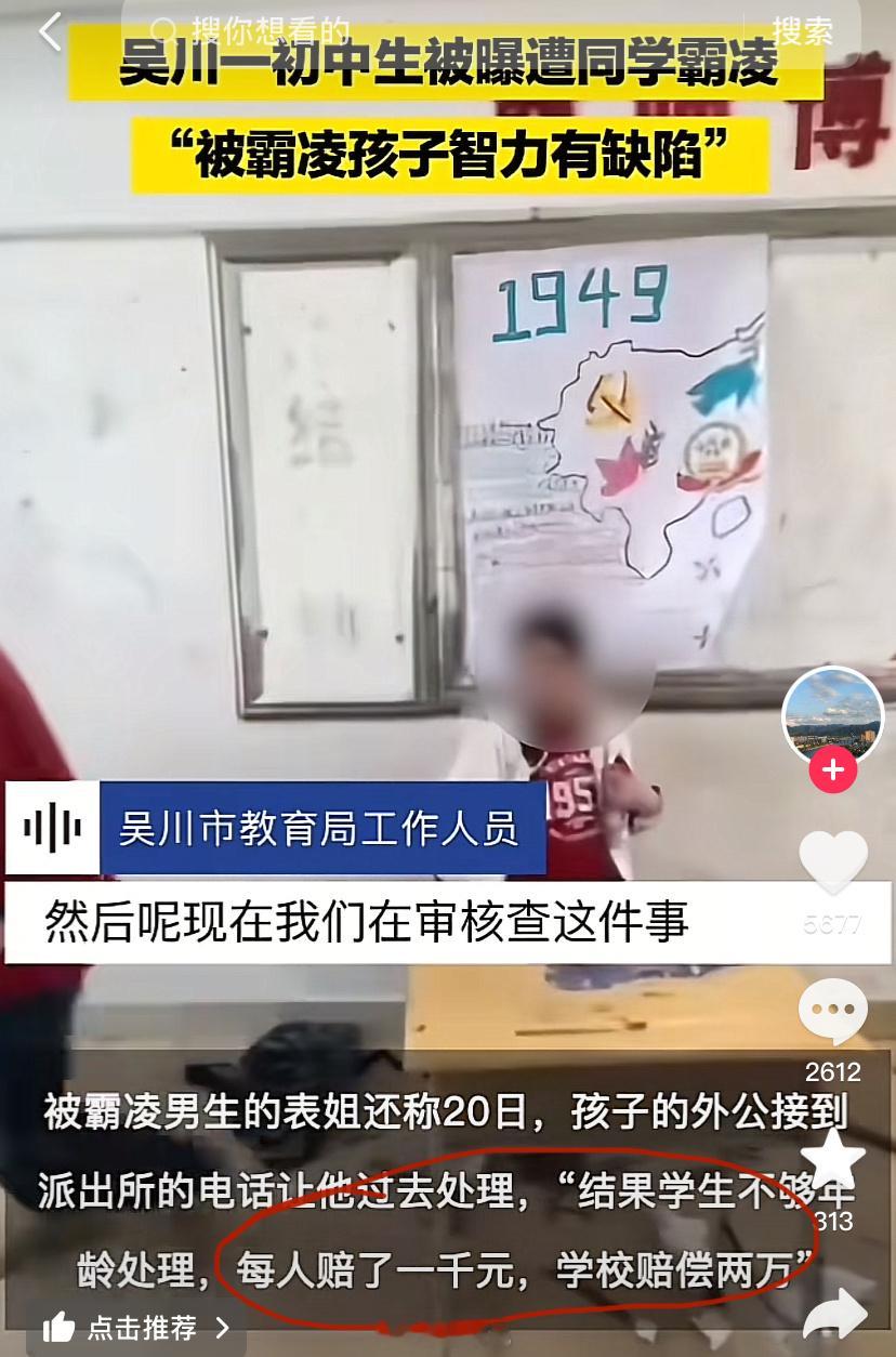 湛江被霸凌事件处理结果：4个霸凌的学生，每人赔一千，学校赔2万，这事就过去了。我