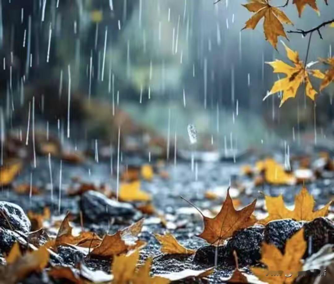 好一幅秋思墨雨图，图中女子带着委婉的哀伤，在雨中思忆过去或远方之人，让整篇文章充