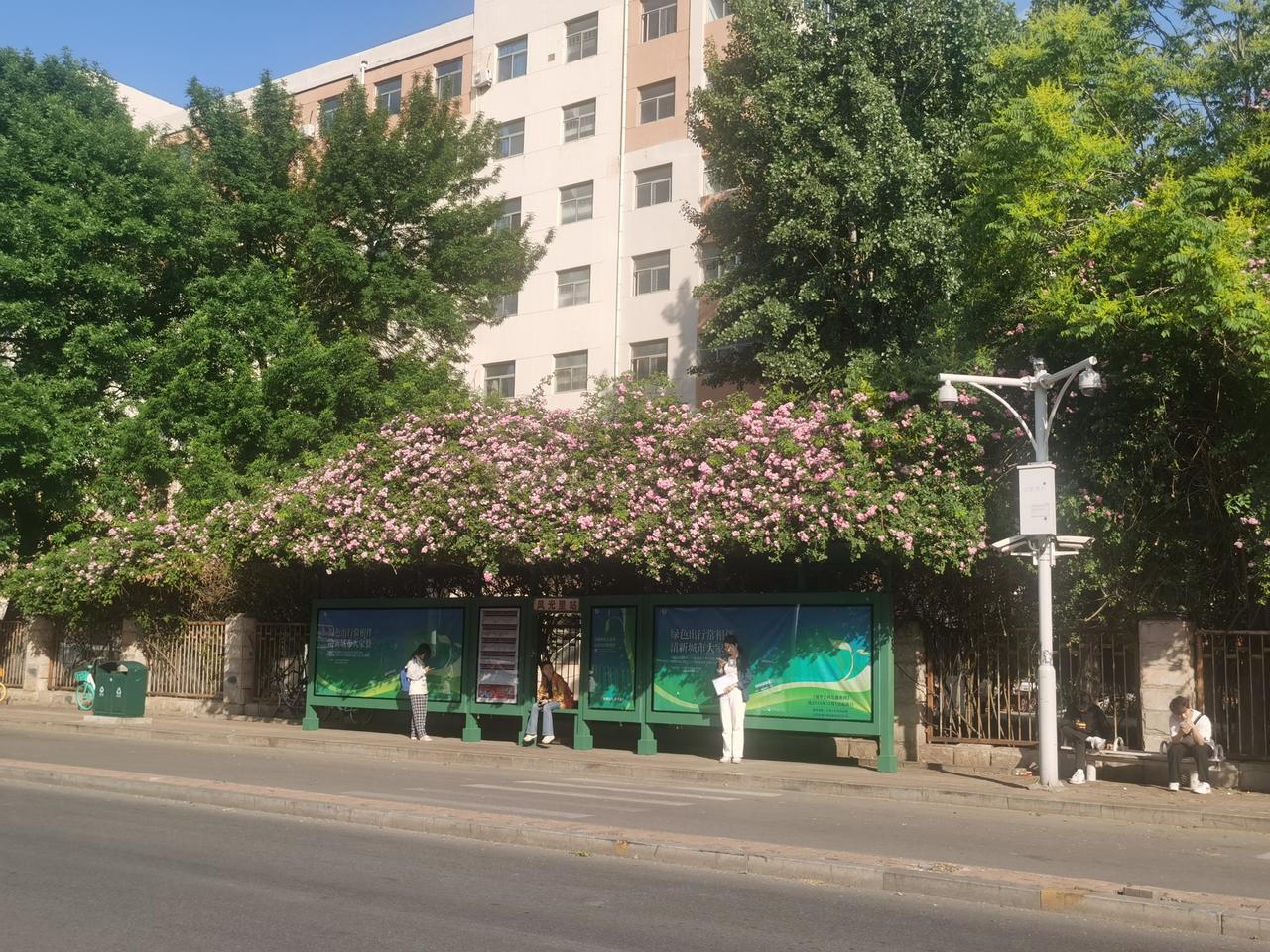 花朵搭设的候车厅