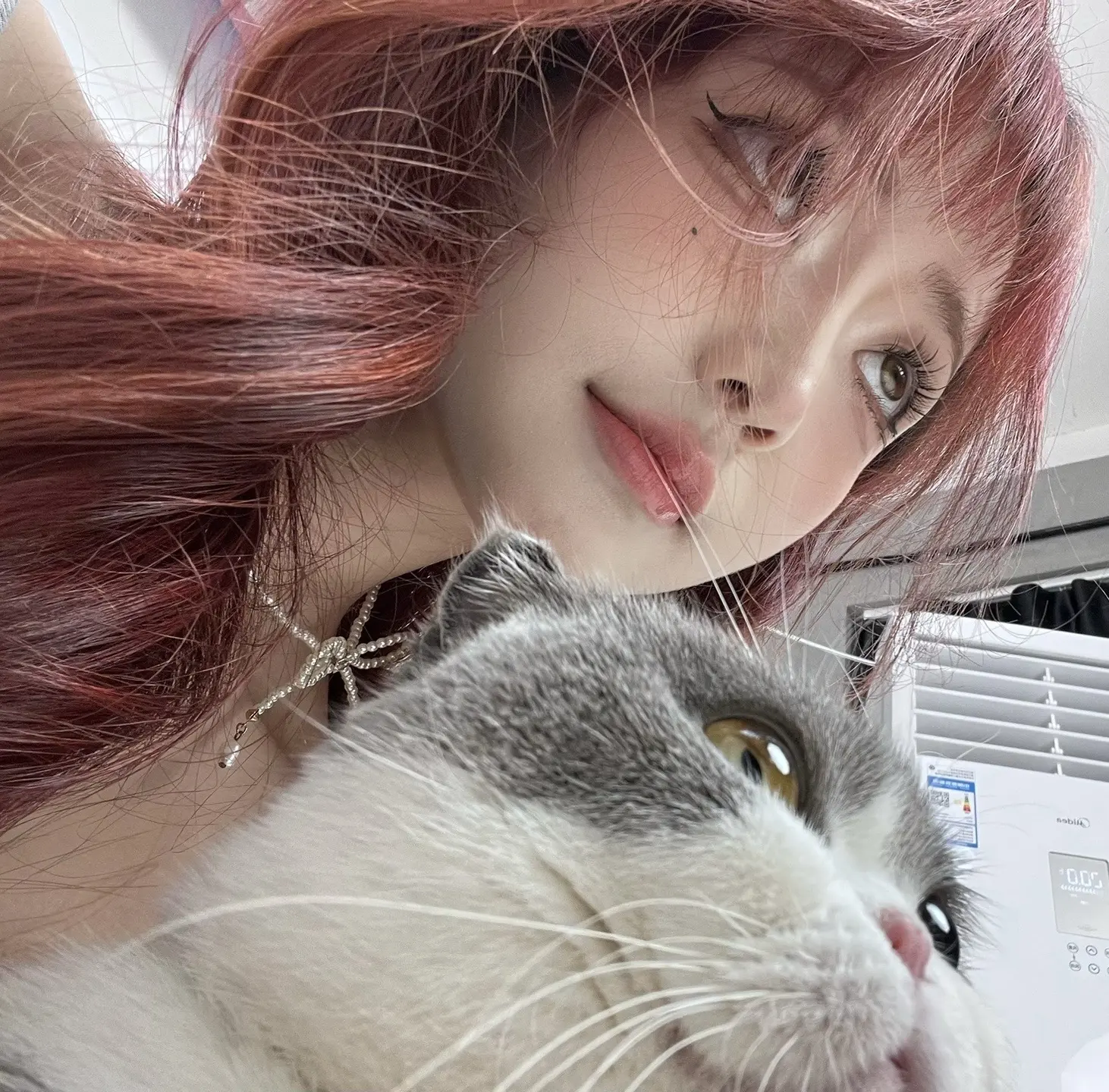 特别的猫。