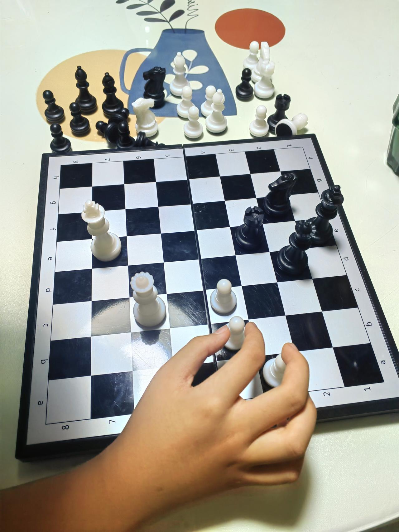 两个兔崽子下盘象棋差点打起来，晚上却又统一战线来教育我，这届孩子真难带！

昨天