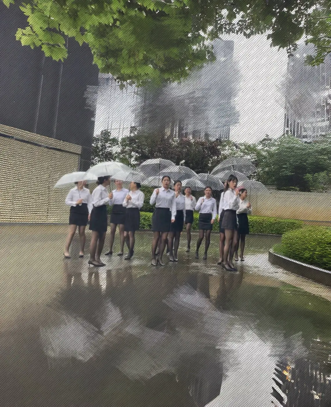少爷 少爷