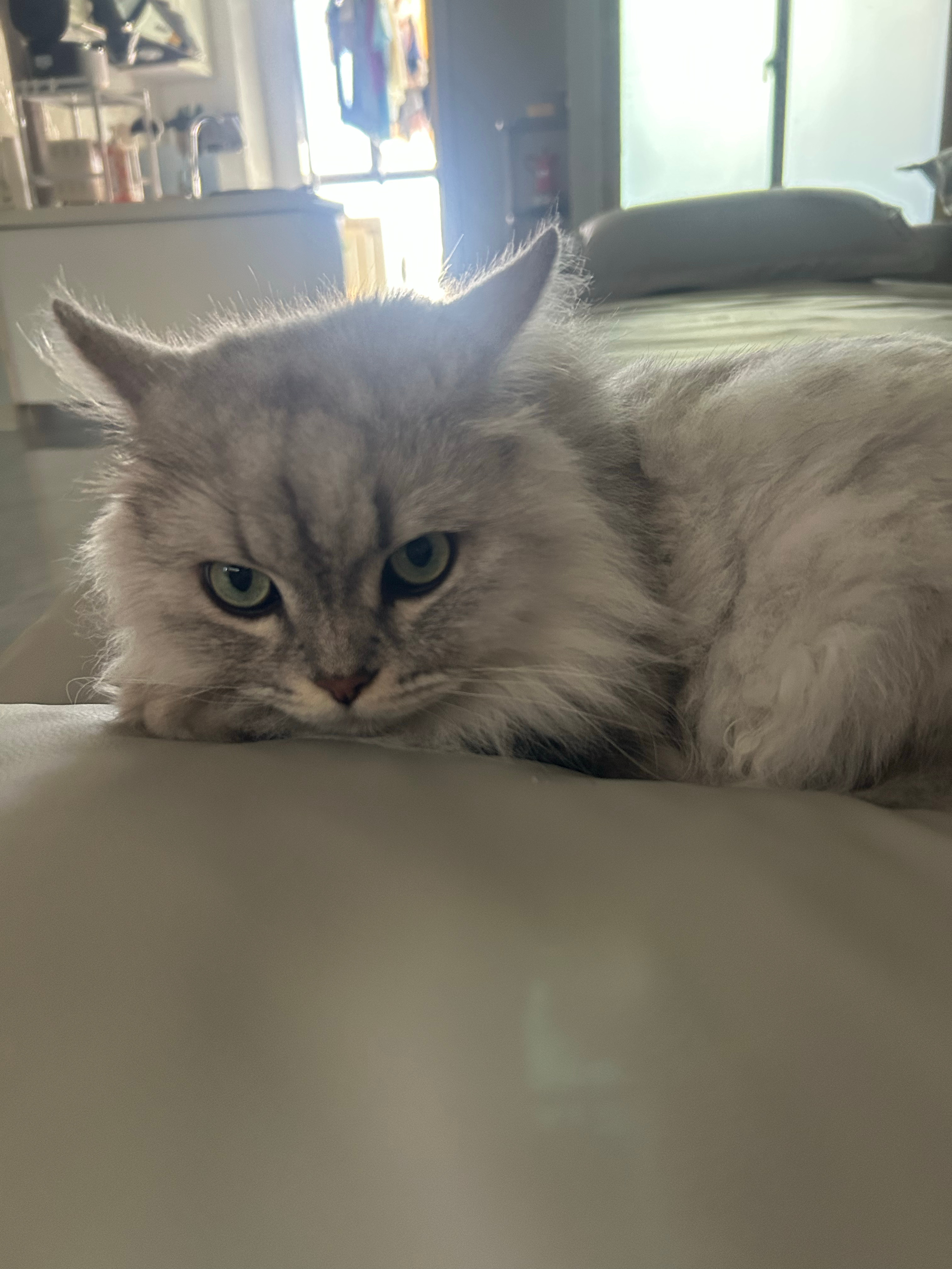 烤肉有点麻烦需要先腌肉所以只吃了火锅，火锅蘸料祖传秘方：芝麻酱，花生酱，蚝油，味