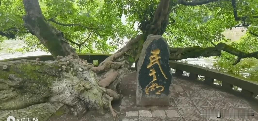 #上联，一三五七九求偶，请你对下联#  二四六八脱单