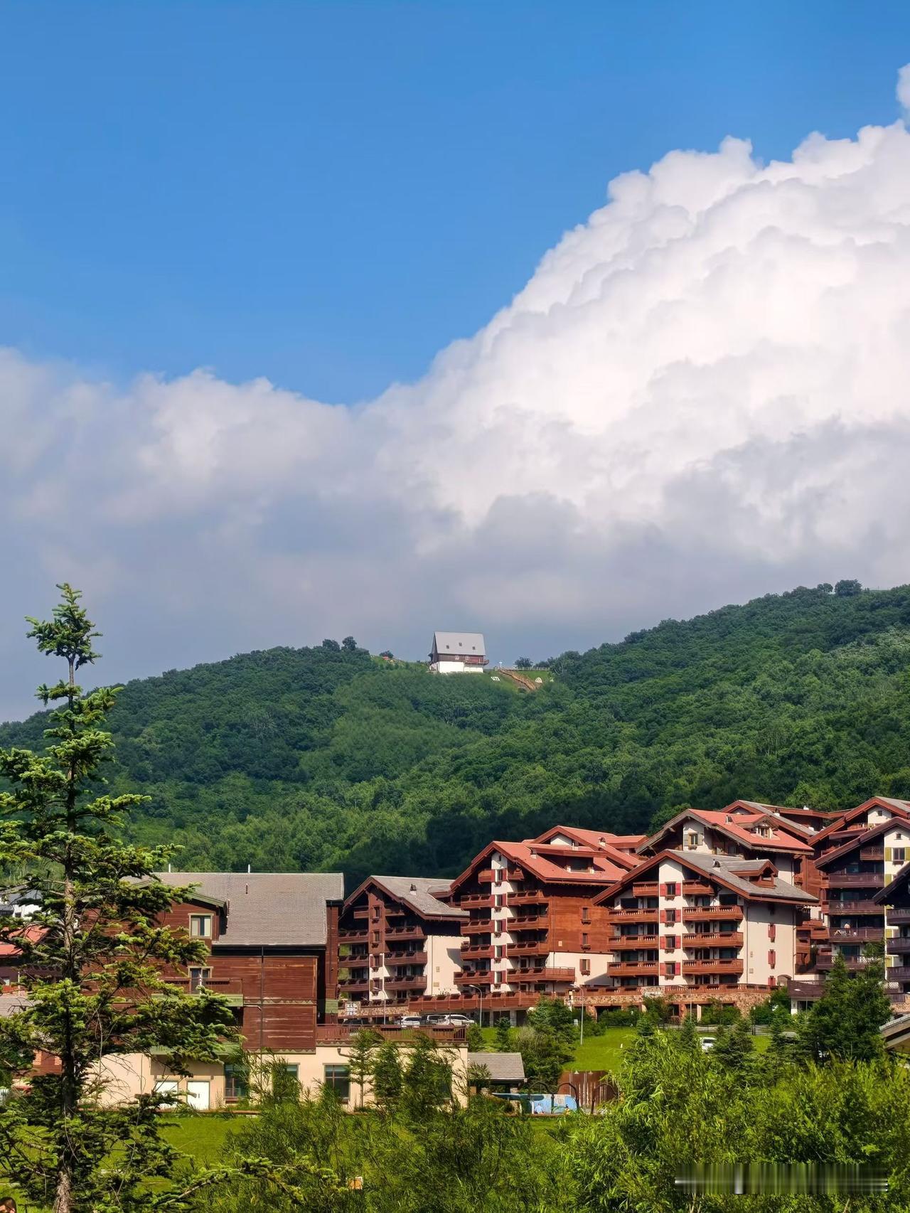 夏日治愈藏在细碎日常里：傍晚骤雨过后，晚风褪去闷热，街边飘着草木清香；冰西瓜咬下
