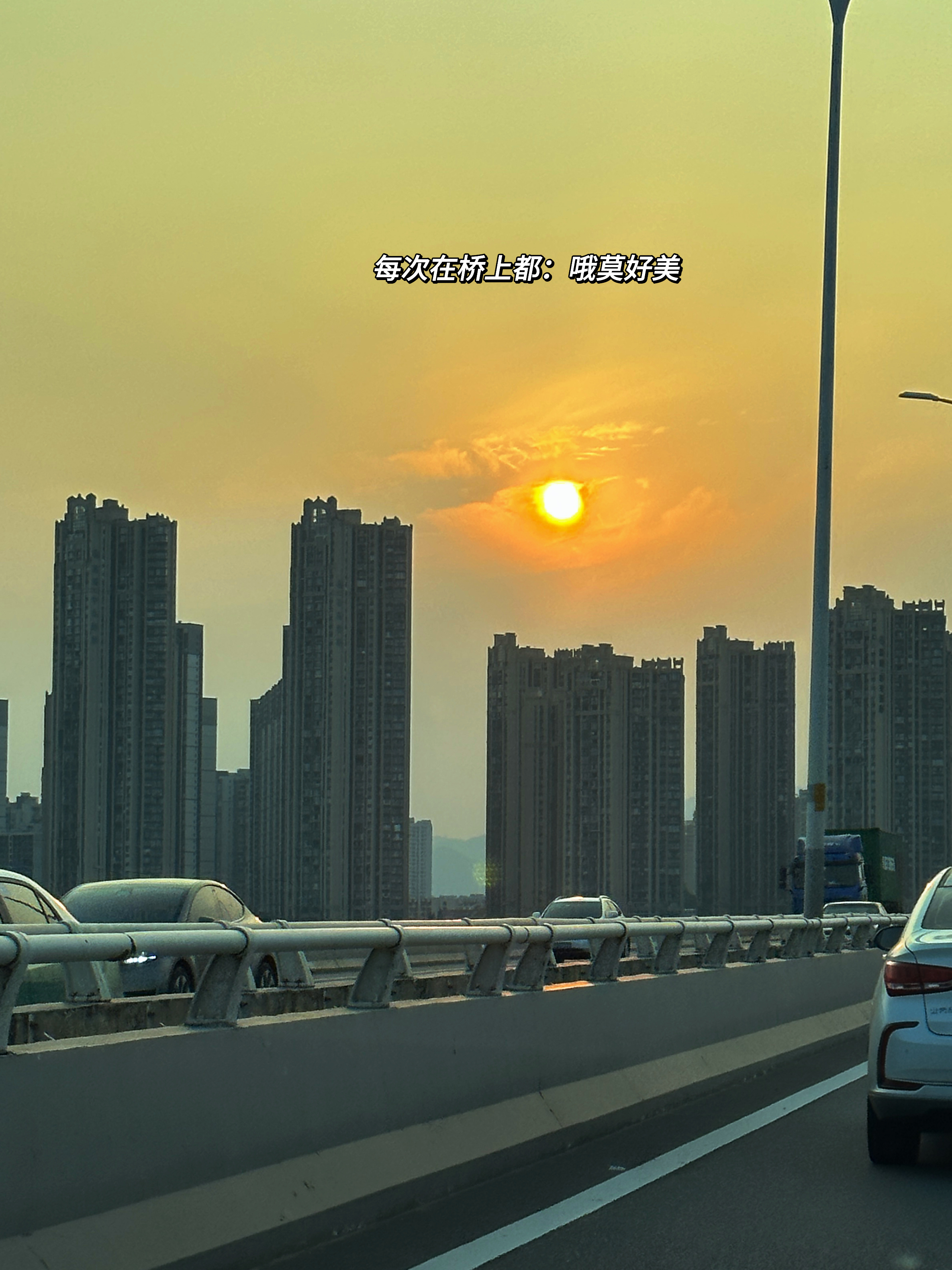 2024日记（19/100） 迪卡侬乱逛日记[看书] ​​​