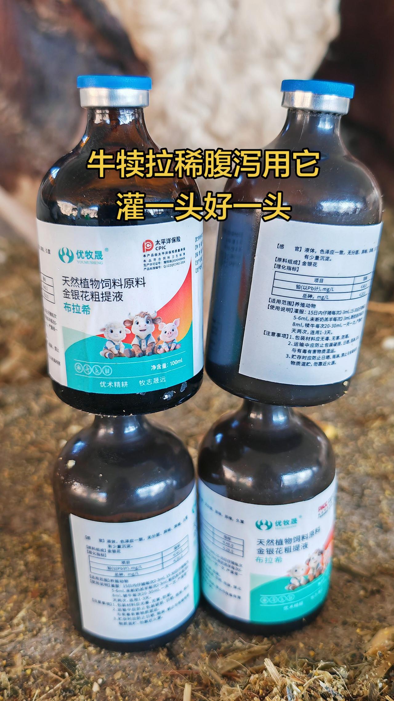 养羊人 农村养羊 牛羊养殖