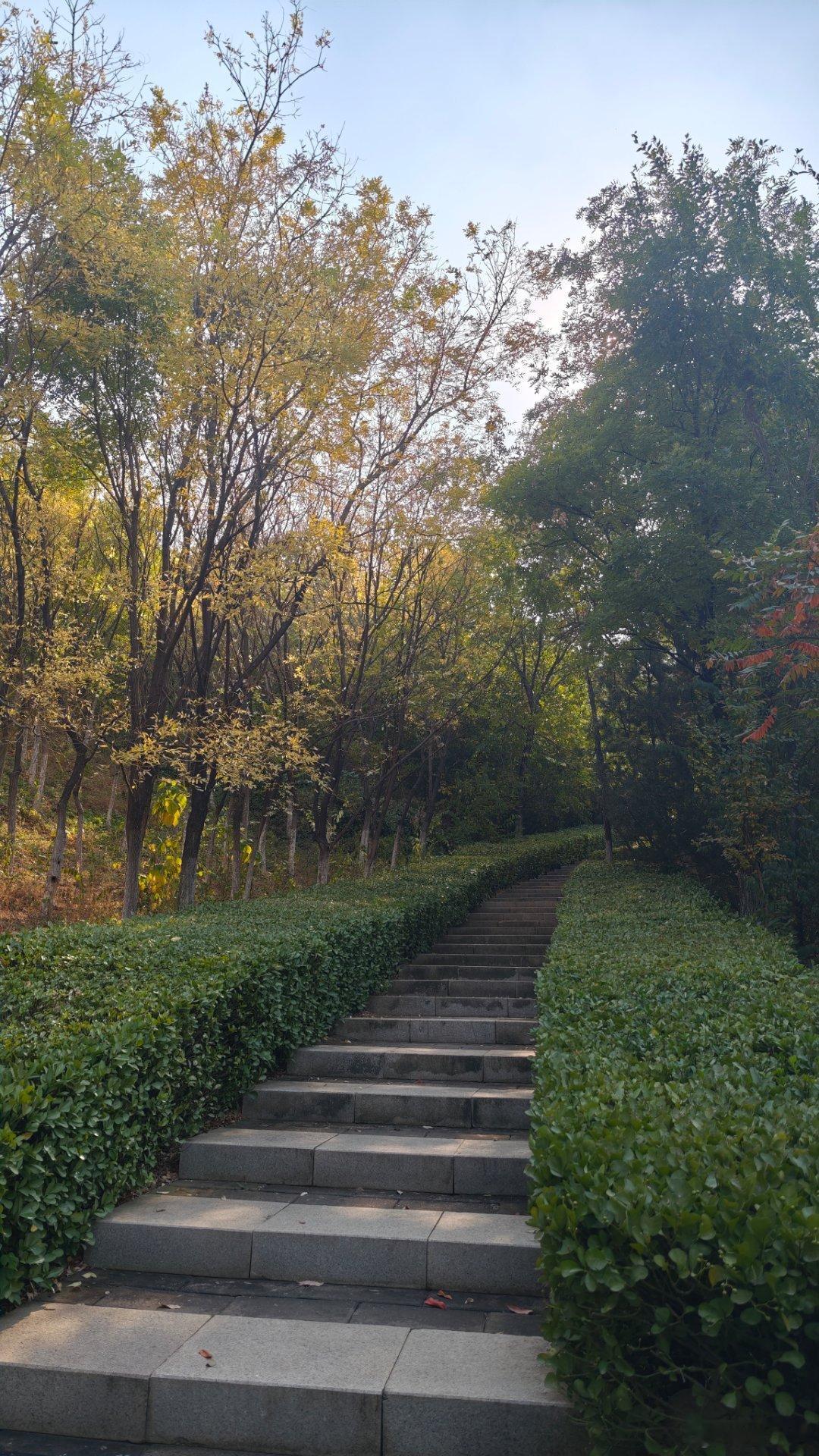 济南秋天春天爬山的时候，万物复苏，充满生机。秋天来到同一个山头，你会发现生机正在