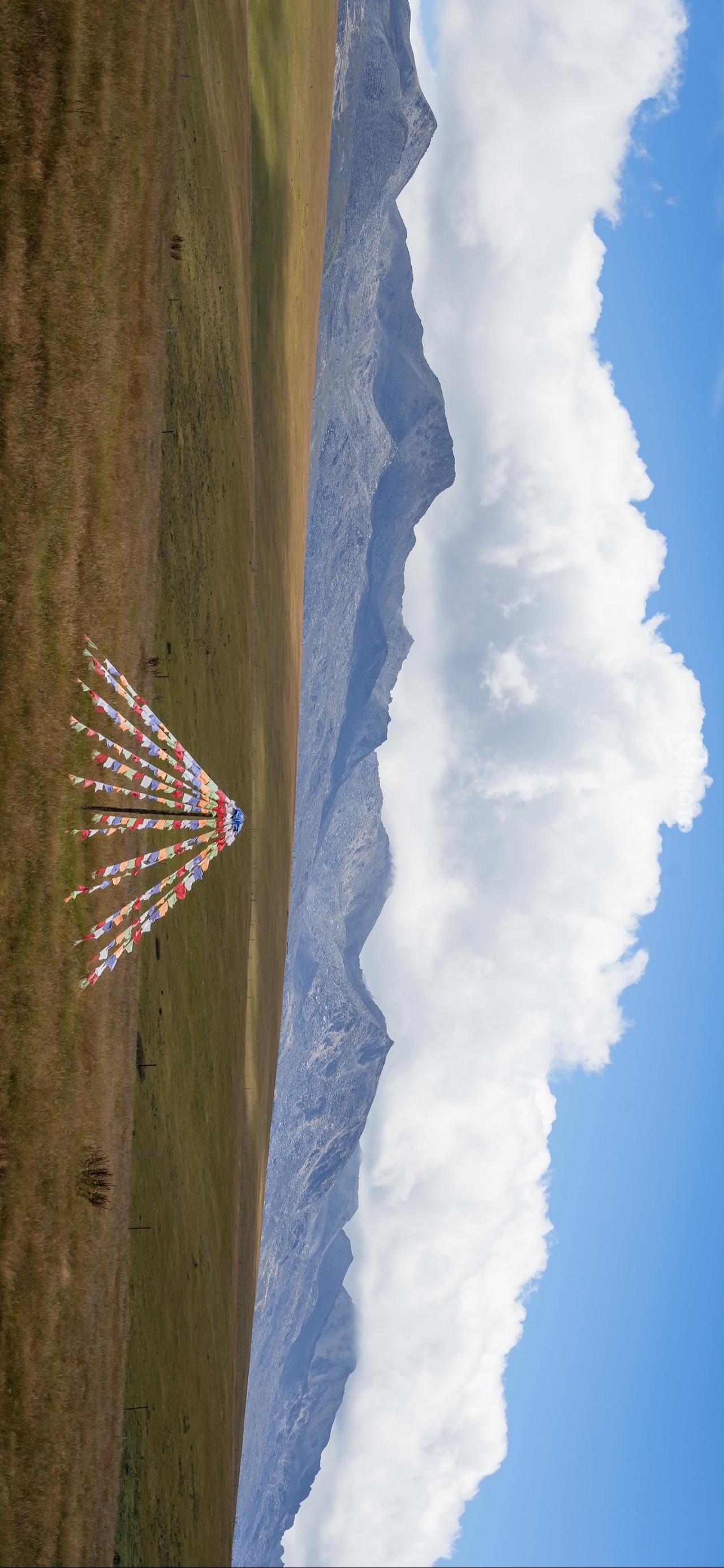 那到底自由是什么呢
不妨勇敢一些
攀一座山/追一个梦/爱一个人
风是自由的你也是